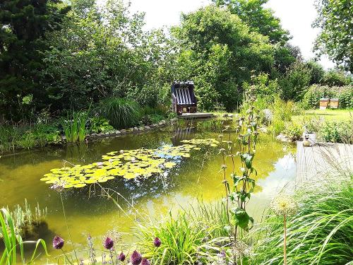 Lauschiges Plätzchen am Gartenteich