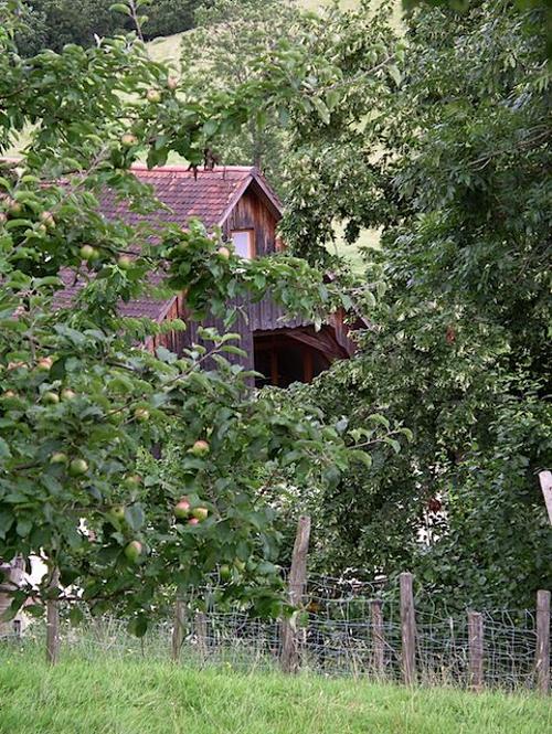 Blick zur Loggia in Wohnung 2