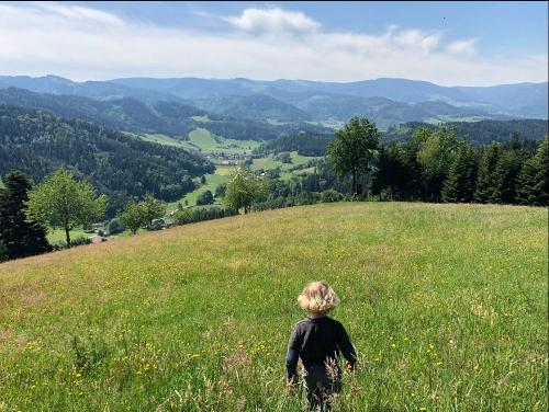 Das wunderschöne Dreisamtal Das wunderschöne Dreisamtal