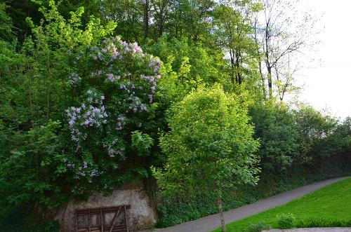 ferienhof Verse naturschutz direkt vor der haustür