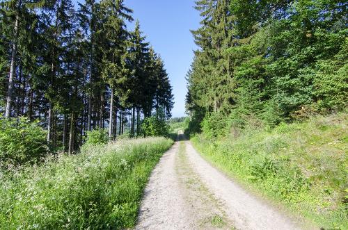wunderschöne wanderwege 1
