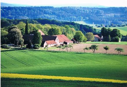 Landschaft um den Hof
