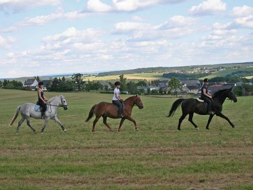 Reiten im Gelände