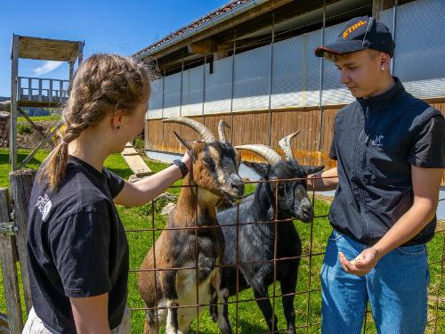 Streicheln erlaubt Streicheln erlaubt