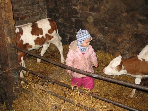 kindertiere