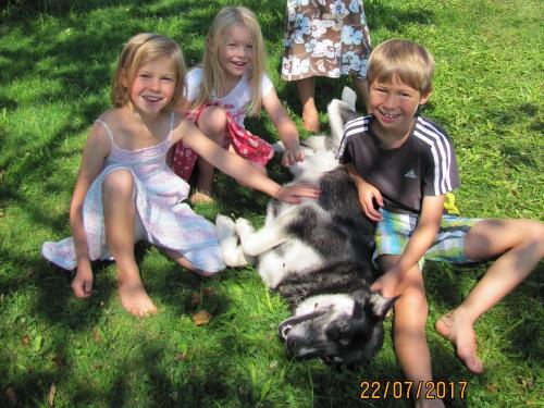 Unser Hofhund im Glück