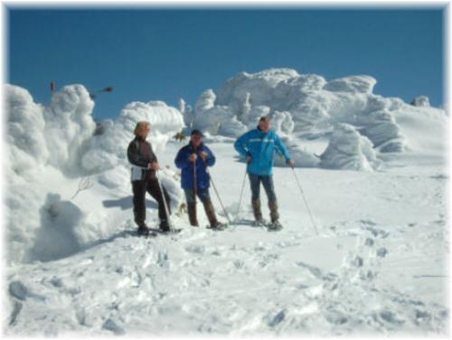 Schneeschuhwanderung