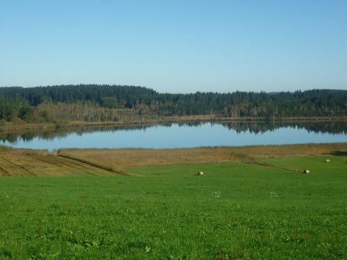 am Ursee