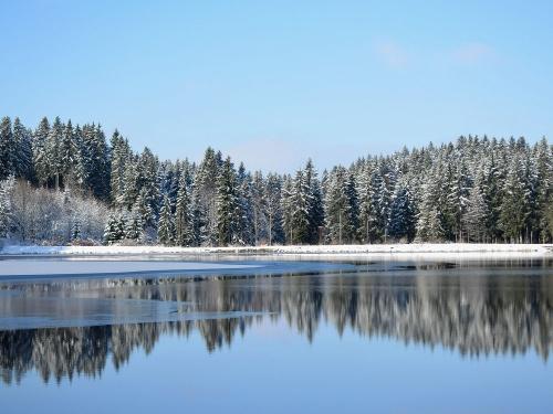Weiher nur Fußmarsch entfernt