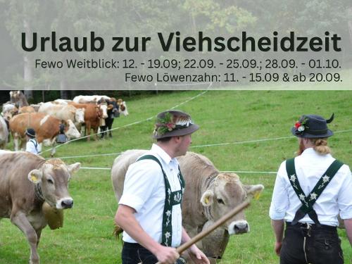 Urlaub zur Viehscheidzeit (1) Urlaub zur Viehscheidzeit (1)
