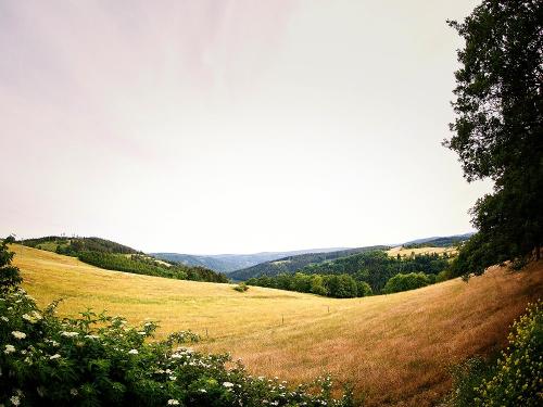 Umgebung im Thüringer Wald
