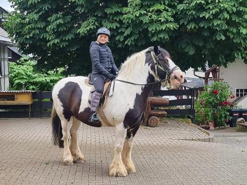 Reitmöglichkeit Reitmöglichkeit