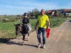 geführtes Ponyreiten geführtes Ponyreiten