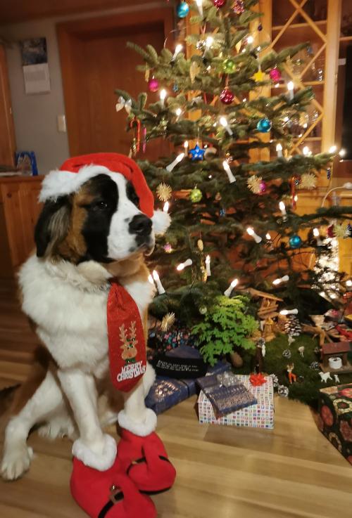 Frohe Weihnachten