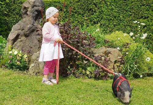 Schwein gehabt Schwein gehabt