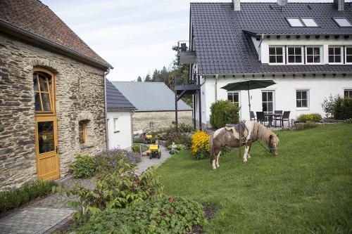 Backhaus Ferienhaus