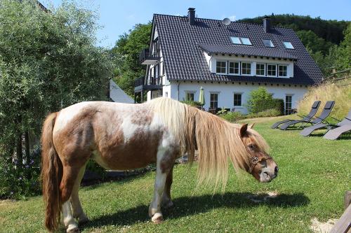 Pony Biene