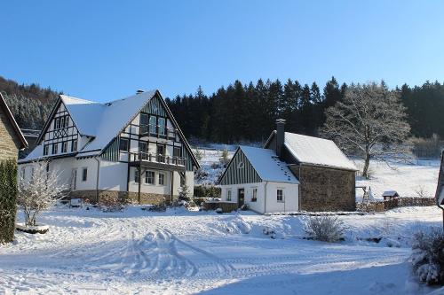 Ferienhaus im Schnee