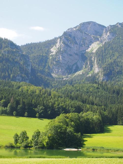 Blick auf den See und Rauschberg