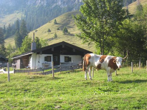 Hofeigene Alm