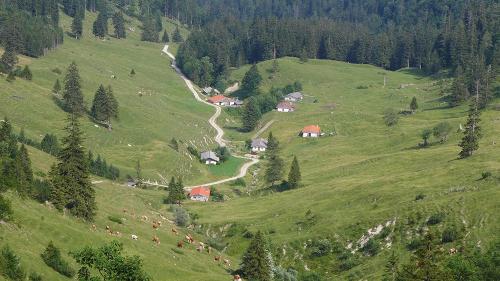 Thorau Alm