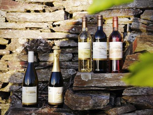 Wein- & Sektgut Reis in Mehring