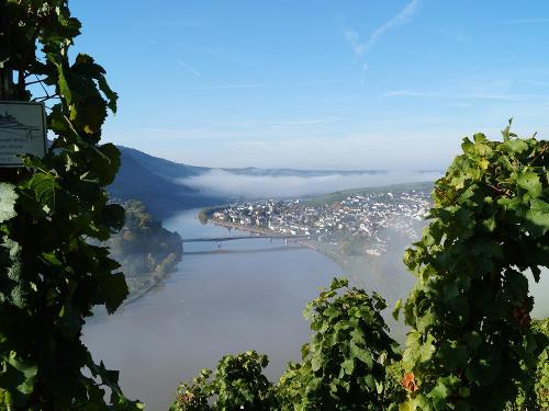 Blick ins Moseltal bei Mehring