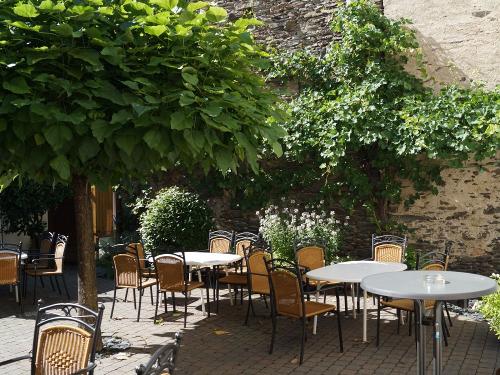 Weingarten im Weingut Reis in Mehring