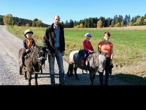 Ponyreiten