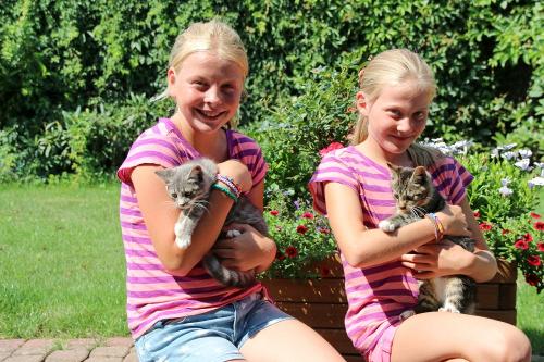 Kinder mit Katzen