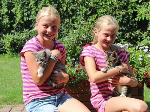 Kinder mit Katzen