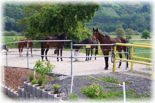 134482_large 134482_large