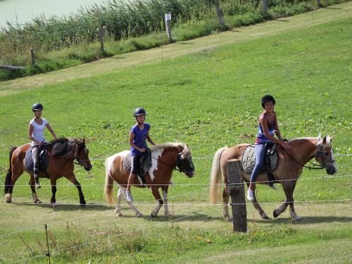 Ausritt über unseren hauseigenen Reitweg