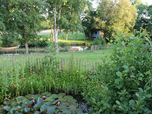 Teich im Garten