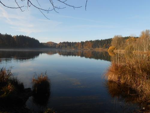 Herbststimmung am Griessee