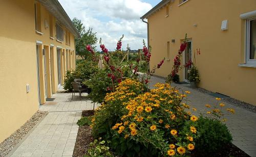 Aussenansicht im Sommer