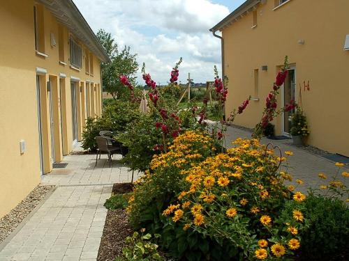 Aussenansicht im Sommer