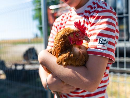 Huhn-21 Huhn-21