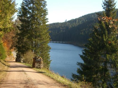 Linacher Stausee