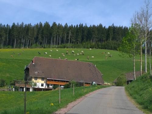 Fuchslochhof