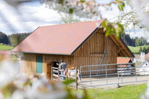kirschhof_47