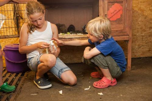 Schädlerhof ... Familie Meerschweinchen ...