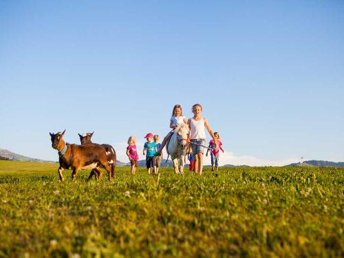 Schädlerhof ... beim Ausreiten ...