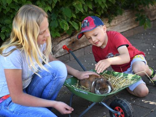 Streicheleinheiten für Emmi