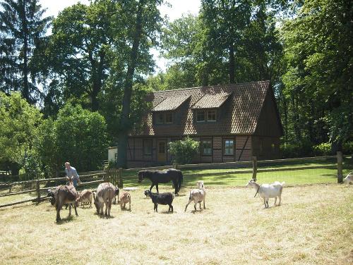 Tiere direkt an der Ferienwohnung