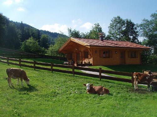 Ferienhaus