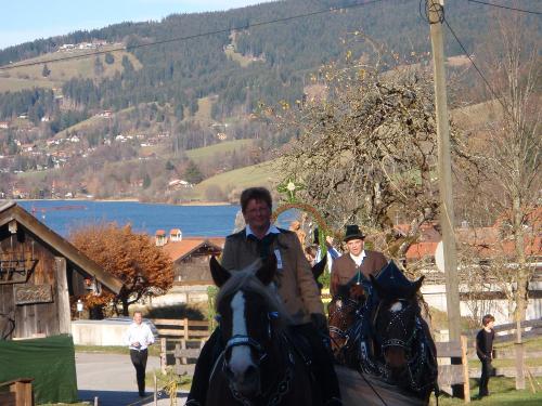 leonhardi2011153