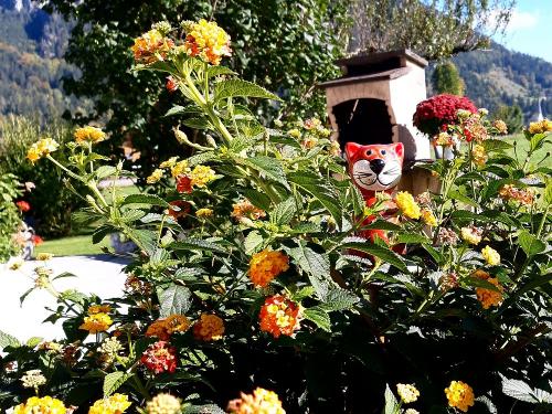 20211017_125920 20211017_125920