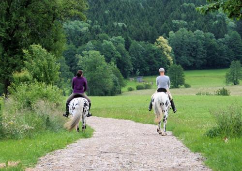 ausreiten_ausschnitt_1964x1387