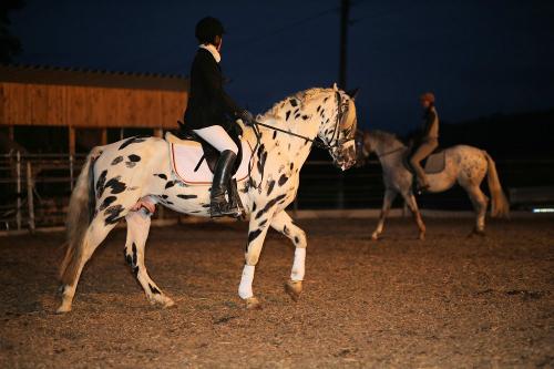 Reiten bei Nacht